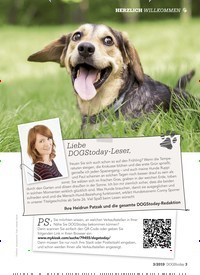 Titelbild der Ausgabe 3/2019 von Liebe: DOGSto day-Leser,. Zeitschriften als Abo oder epaper bei United Kiosk online kaufen.