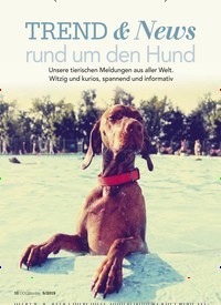 Titelbild der Ausgabe 5/2019 von TREND & News: rund um den Hund. Zeitschriften als Abo oder epaper bei United Kiosk online kaufen.