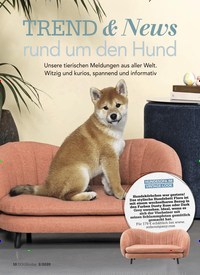 Titelbild der Ausgabe 2/2020 von TREND & News rund um den Hund. Zeitschriften als Abo oder epaper bei United Kiosk online kaufen.