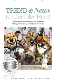 Titelbild der Ausgabe 3/2020 von TREND & News rund um den Hund. Zeitschriften als Abo oder epaper bei United Kiosk online kaufen.