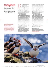 Titelbild der Ausgabe 15/2021 von Papageien-taucher in Partylaune. Zeitschriften als Abo oder epaper bei United Kiosk online kaufen.