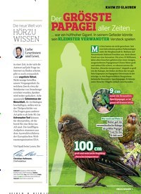 Titelbild der Ausgabe 6/2019 von Kaum zu glauben: Der GRÖSSTE PAPAGEI aller Zeiten. Zeitschriften als Abo oder epaper bei United Kiosk online kaufen.