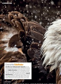 Titelbild der Ausgabe 6/2019 von Eine echte Edelfeder. Zeitschriften als Abo oder epaper bei United Kiosk online kaufen.