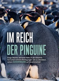 Titelbild der Ausgabe 1/2021 von Report: IM REICH DER PINGUINE. Zeitschriften als Abo oder epaper bei United Kiosk online kaufen.