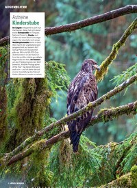 Titelbild der Ausgabe 2/2022 von Astreine Kinderstube. Zeitschriften als Abo oder epaper bei United Kiosk online kaufen.