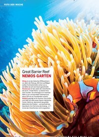 Titelbild der Ausgabe 22/2018 von FOTO DER WOCHE: Great Barrier Reef: NEMOS GARTEN. Zeitschriften als Abo oder epaper bei United Kiosk online kaufen.