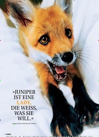 Titelbild der Ausgabe 25/2018 von NATUR: DER niedlichste Fuchs DER WELT. Zeitschriften als Abo oder epaper bei United Kiosk online kaufen.