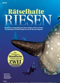 Titelbild der Ausgabe 27/2018 von NATUR: Rätselhafte: RIESEN. Zeitschriften als Abo oder epaper bei United Kiosk online kaufen.