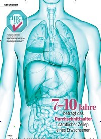 Titelbild der Ausgabe 29/2018 von GESUNDHEIT: Der große Organ-TÜV. Zeitschriften als Abo oder epaper bei United Kiosk online kaufen.