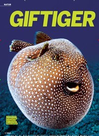 Titelbild der Ausgabe 35/2018 von NATUR: GIFTIGER Geselle. Zeitschriften als Abo oder epaper bei United Kiosk online kaufen.