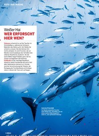 Titelbild der Ausgabe 41/2018 von FOTO DER WOCHE: Weißer Hai: WER ERFORSCHT HIER WEN?. Zeitschriften als Abo oder epaper bei United Kiosk online kaufen.