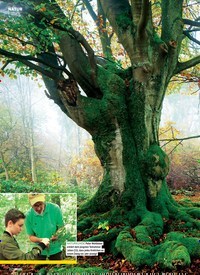 Titelbild der Ausgabe 42/2018 von NATUR „Wann rührt ein Baum Ihr HERZ, Herr Wohlleben?“. Zeitschriften als Abo oder epaper bei United Kiosk online kaufen.