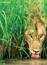 Titelbild der Ausgabe 47/2018 von FOTO DER WOCHE: Löwin in Sambia HEIMLICHE TRINKERIN. Zeitschriften als Abo oder epaper bei United Kiosk online kaufen.