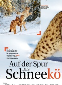 Titelbild der Ausgabe 3/2019 von NATUR: A u f der Spur DES Schneekönigs. Zeitschriften als Abo oder epaper bei United Kiosk online kaufen.