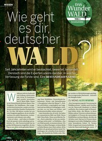 Titelbild der Ausgabe 13/2019 von DAS Wunder WALD: TEIL 1 Bestandsaufnahme: Wie geht es dir, deutscher WALD?. Zeitschriften als Abo oder epaper bei United Kiosk online kaufen.