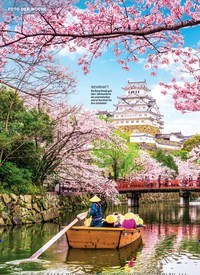Titelbild der Ausgabe 16/2019 von FOTO DER WOCHE: Frühling in Japan: IN VOLLER BLÜTE. Zeitschriften als Abo oder epaper bei United Kiosk online kaufen.