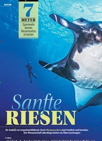 Titelbild der Ausgabe 18/2019 von NATUR : Sanfte RIESEN. Zeitschriften als Abo oder epaper bei United Kiosk online kaufen.