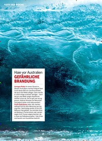 Titelbild der Ausgabe 22/2019 von FOTO DER WOCHE: Haie vor Australien: GEFÄHRLICHE BRANDUNG. Zeitschriften als Abo oder epaper bei United Kiosk online kaufen.
