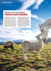Titelbild der Ausgabe 25/2019 von FOTO DER WOCHE: Auf einer Farm in Colorado TIERISCH GUTE FREUNDE. Zeitschriften als Abo oder epaper bei United Kiosk online kaufen.