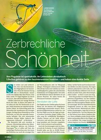 Titelbild der Ausgabe 25/2019 von NATUR: Zerbrechliche Schönheit. Zeitschriften als Abo oder epaper bei United Kiosk online kaufen.
