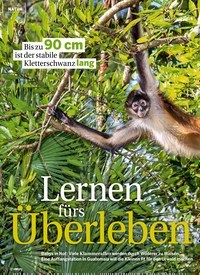 Titelbild der Ausgabe 30/2019 von NATUR: Lernen furs Überleben. Zeitschriften als Abo oder epaper bei United Kiosk online kaufen.