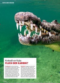 Titelbild der Ausgabe 31/2019 von FOTO DER WOCHE. Zeitschriften als Abo oder epaper bei United Kiosk online kaufen.