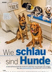 Titelbild der Ausgabe 31/2019 von Wie schlau sind Hunde wirklich?. Zeitschriften als Abo oder epaper bei United Kiosk online kaufen.