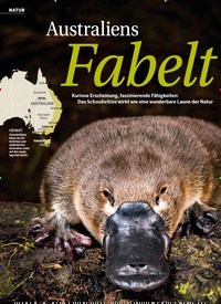 Titelbild der Ausgabe 34/2019 von NATUR: Australiens Fabeltier. Zeitschriften als Abo oder epaper bei United Kiosk online kaufen.