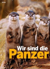 Titelbild der Ausgabe 35/2019 von NATUR: Wir sind die Panzer knacker. Zeitschriften als Abo oder epaper bei United Kiosk online kaufen.