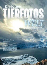 Titelbild der Ausgabe 43/2019 von NATUR: Die besten TIERFOTOS der WELT. Zeitschriften als Abo oder epaper bei United Kiosk online kaufen.