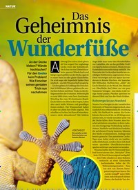Titelbild der Ausgabe 7/2020 von NATUR: Das Geheimnis der Wunderfüße. Zeitschriften als Abo oder epaper bei United Kiosk online kaufen.