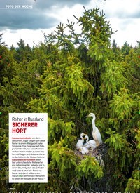 Titelbild der Ausgabe 43/2020 von FOTO DER WOCHE: Reiher in Russland. Zeitschriften als Abo oder epaper bei United Kiosk online kaufen.
