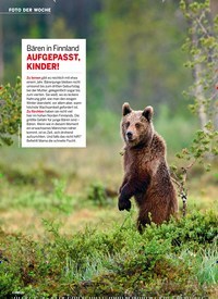 Titelbild der Ausgabe 51/2020 von FOTO DER WOCHE: Bären in Finnland AUFGEPASST, KINDER!. Zeitschriften als Abo oder epaper bei United Kiosk online kaufen.