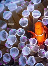 Titelbild der Ausgabe 5/2021 von Leben im Riff: EINE PERFEKTE WG. Zeitschriften als Abo oder epaper bei United Kiosk online kaufen.