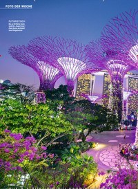 Titelbild der Ausgabe 6/2021 von FOTO DER WOCHE: Park in Singapur: BÄUME DES LICHTS. Zeitschriften als Abo oder epaper bei United Kiosk online kaufen.
