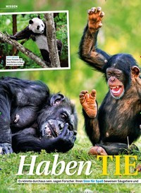 Titelbild der Ausgabe 8/2021 von Haben TIERE Humor?. Zeitschriften als Abo oder epaper bei United Kiosk online kaufen.