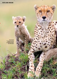 Titelbild der Ausgabe 16/2021 von Geparde MAMAS LIEBLINGE. Zeitschriften als Abo oder epaper bei United Kiosk online kaufen.