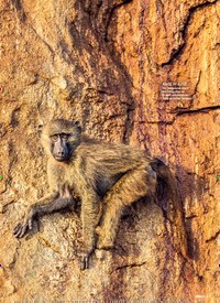 Titelbild der Ausgabe 31/2021 von Das Böse unter der Sonne. Zeitschriften als Abo oder epaper bei United Kiosk online kaufen.