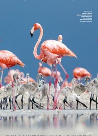Titelbild der Ausgabe 35/2021 von Drama im Paradies. Zeitschriften als Abo oder epaper bei United Kiosk online kaufen.
