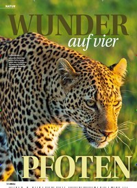 Titelbild der Ausgabe 36/2021 von WUNDER auf vier PFOTEN. Zeitschriften als Abo oder epaper bei United Kiosk online kaufen.
