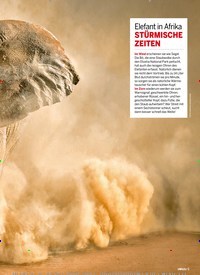 Titelbild der Ausgabe 38/2021 von Mit vollem Körpereinsatz. Zeitschriften als Abo oder epaper bei United Kiosk online kaufen.