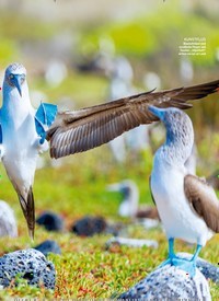 Titelbild der Ausgabe 39/2021 von Schrecken der Vergangenheit. Zeitschriften als Abo oder epaper bei United Kiosk online kaufen.