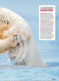 Titelbild der Ausgabe 40/2021 von Die Sprache der Toten. Zeitschriften als Abo oder epaper bei United Kiosk online kaufen.