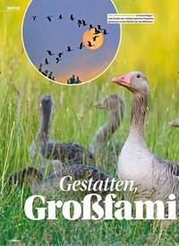 Titelbild der Ausgabe 40/2021 von Gestatten, Großfamilie Gans. Zeitschriften als Abo oder epaper bei United Kiosk online kaufen.