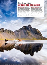 Titelbild der Ausgabe 41/2021 von Drei Schutzengel für Sylt. Zeitschriften als Abo oder epaper bei United Kiosk online kaufen.