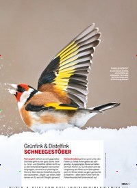 Titelbild der Ausgabe 1/2022 von Ziemlich beste Freundinnen. Zeitschriften als Abo oder epaper bei United Kiosk online kaufen.