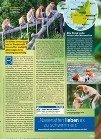 Titelbild der Ausgabe 1/2022 von Das ändert sich für VERBRAUCHER. Zeitschriften als Abo oder epaper bei United Kiosk online kaufen.