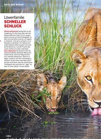 Titelbild der Ausgabe 8/2022 von Löwenfamilie SCHNELLER SCHLUCK. Zeitschriften als Abo oder epaper bei United Kiosk online kaufen.