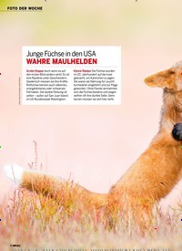 Titelbild der Ausgabe 12/2022 von WAHRE MAULHELDEN. Zeitschriften als Abo oder epaper bei United Kiosk online kaufen.