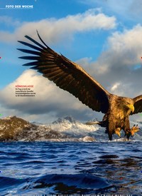 Titelbild der Ausgabe 24/2022 von Seeadler ACHTUNG, ZUGRIFF!. Zeitschriften als Abo oder epaper bei United Kiosk online kaufen.